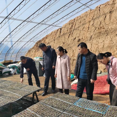 上党区发改科技局协同审计事务所到苏店镇辛庄村和北呈乡南呈籽杰合作